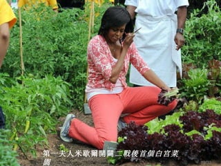 第一夫人米歇爾 開闢 二戰後首個 白宫菜園 /33 