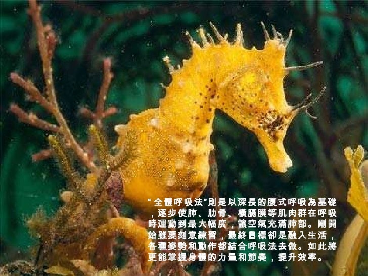 學會呼吸能長壽