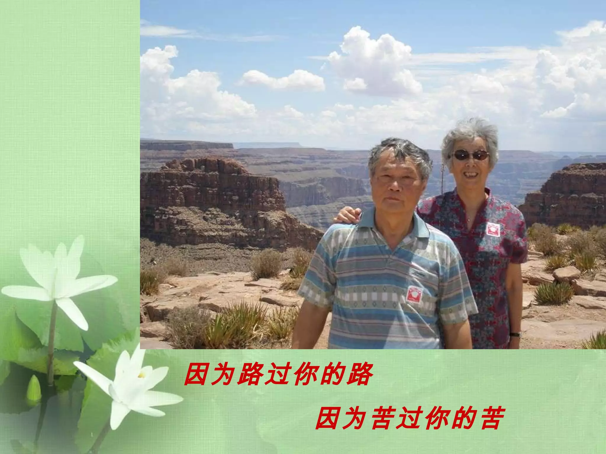 因为路过你的路   因为苦过你的苦   