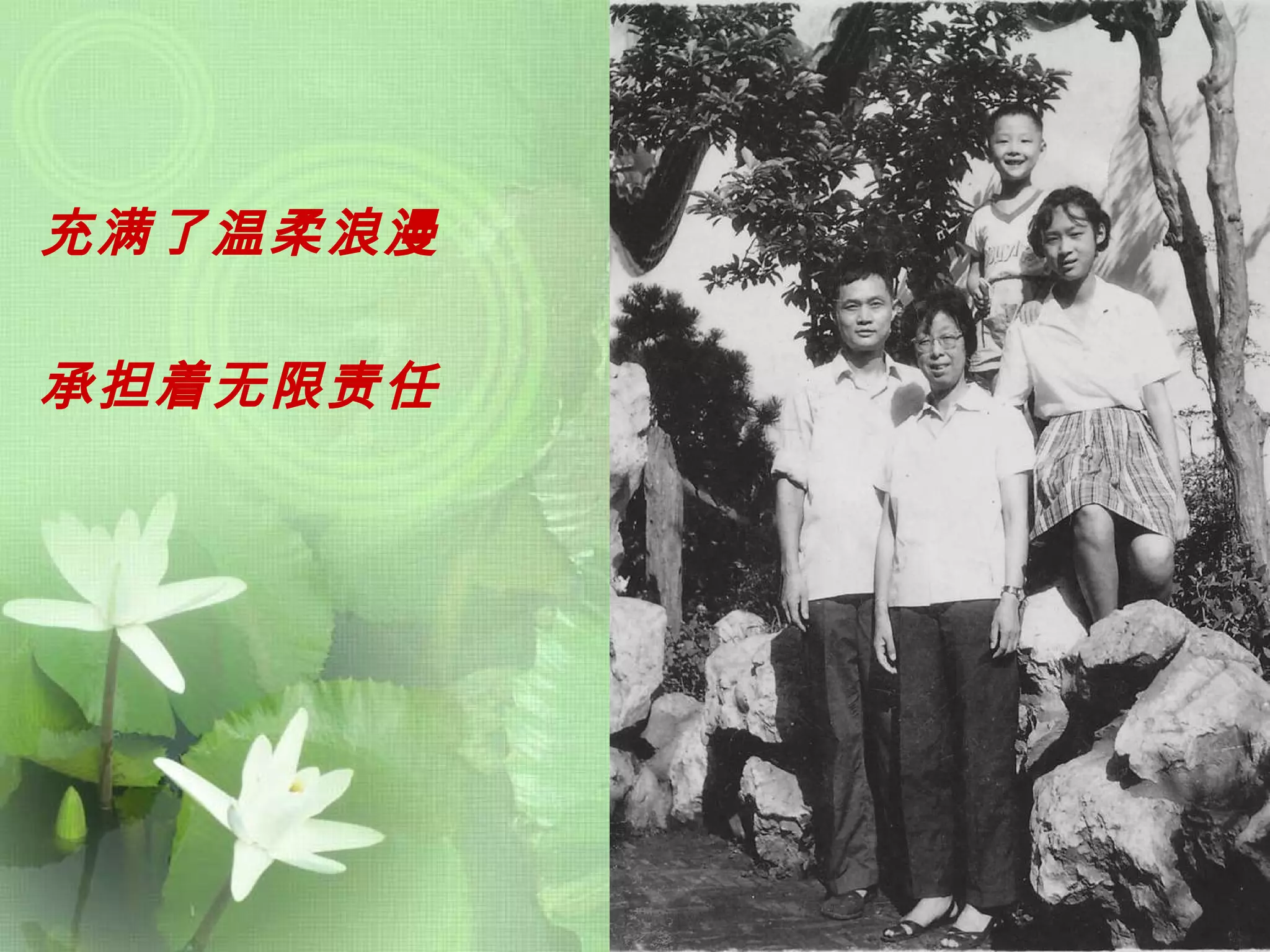 充满了温柔浪漫 承担着无限责任 