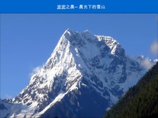 波密 之晨─晨光下的雪山 . 