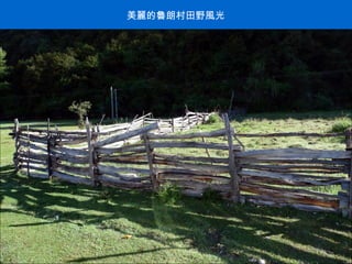 美麗的魯朗村田野風光 . 