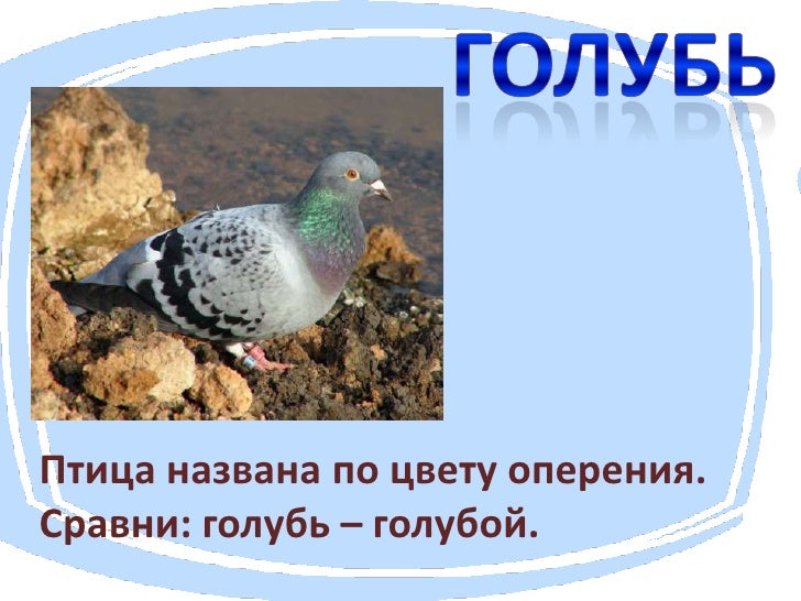 Почему ниву так назвали Почему ниву так назвали