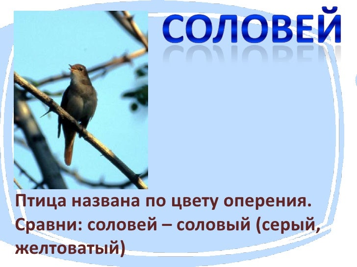 Почему ниву так назвали Почему ниву так назвали