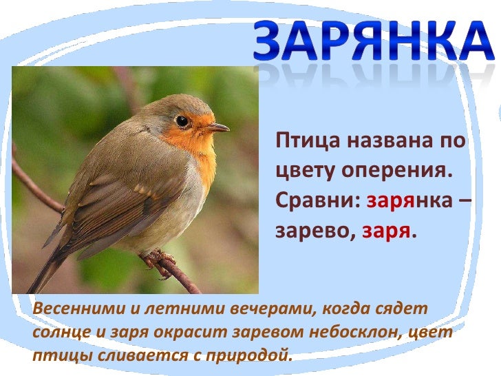 Почему ниву так назвали Почему ниву так назвали