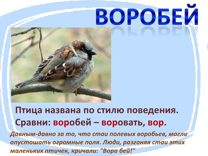 Почему ниву так назвали Почему ниву так назвали