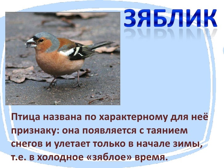 Бардачок почему так называется