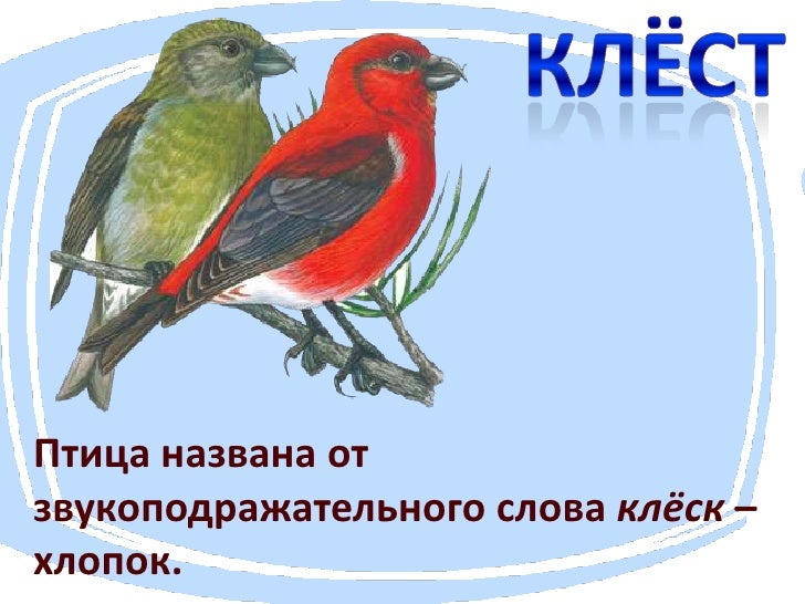 Бардачок почему так называется