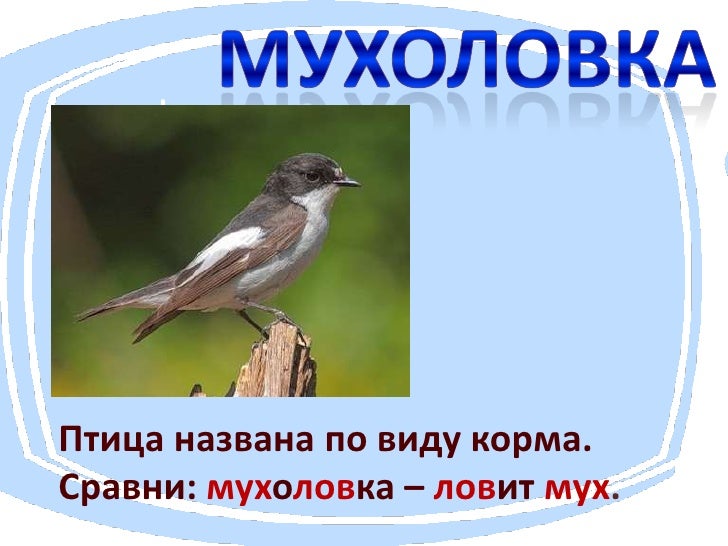Домкрат почему так назвали