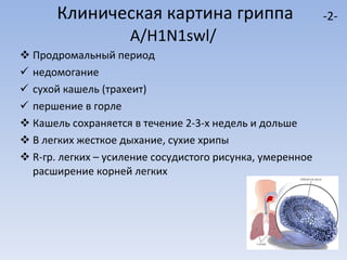 Продромальный период  недомогание сухой кашель (трахеит) першение в горле Кашель сохраняется в течение 2-3-х недель и дольше В легких жесткое дыхание, сухие хрипы R -гр. легких – усиление сосудистого рисунка, умеренное расширение корней легких Клиническая картина гриппа   A / H1N1swl /  -2- 