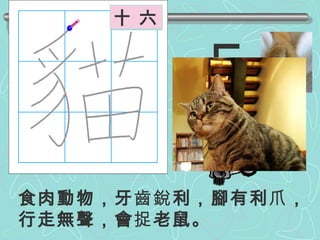 食肉動物，牙 齒銳 利，腳有利 爪 ，行走無聲，會 捉 老鼠。 ㄇㄠ 豸  ㄓ ˋ 部  首 十 六 