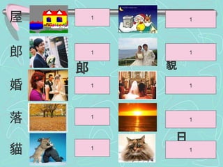 屋 郎 婚 落 貓 房屋 新郎 落葉 結婚 小貓 1 1 1 1 1 屋頂 貓咪 落日 郎才女貌 婚禮 1 1 1 1 1 