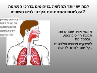 למה יש יותר תחלואה בזיהומים בדרכי הנשימה העליונות והתחתונות בקרב ילדים חשופים ?   <ul><li>מזהמי אוויר עוצרים את תנועת הריס...