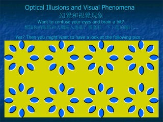 Optical Illusions and Visual Phenomena   幻 覺 和 視覺現 象 Want to confuse your eyes and brain a bit?  想 讓 你的眼睛和大 腦 陷入迷 亂 ？那 麼 看一下下面的 圖 片 ... Yes? Then you might want to have a look at the following pics ..   