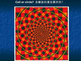 Coil or circle?  是螺旋的 還 是 圓 形的？ 