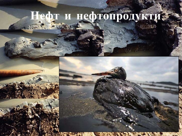та замърсяване и пречистване