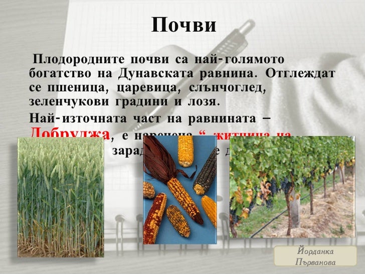 дунавска равнина