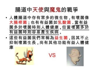 腸道中 天使 與 魔鬼 的戰爭 人體腸道中存有眾多的微生物 , 有壞菌像 大腸桿菌 ; 也有有益菌如 乳酸菌 . 當有益菌多於壞菌時則人體健康 , 但當壞菌多於有益菌時則容易產生疾病 . 這些有益菌我們常稱為 益生菌 , 因其不止抑制壞菌生長 , 尚有其他功能有益人體健康 . VS 