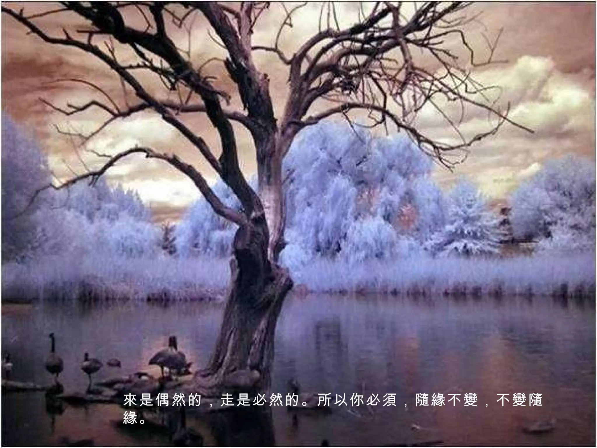 來是偶然的，走是必然的。所以你必須，隨緣不變，不變隨緣。 