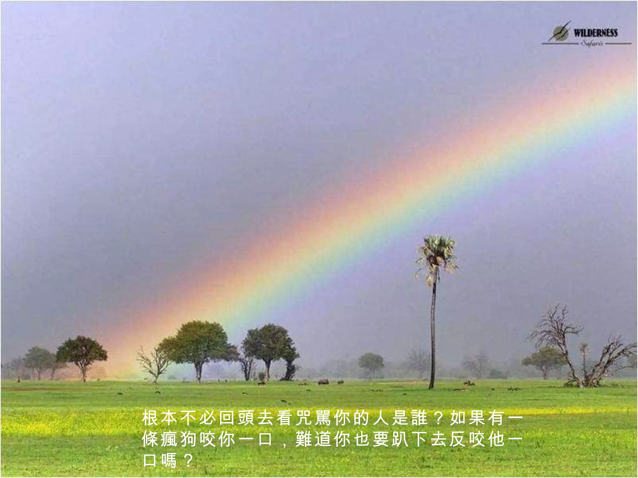 根本不必回頭去看咒駡你的人是誰？如果有一條瘋狗咬你一口，難道你也要趴下去反咬他一口嗎？ 