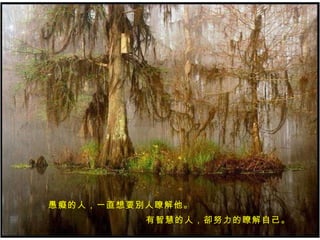 愚癡的人，一直想要別人瞭解他。 有智慧的人，卻努力的瞭解自己。 