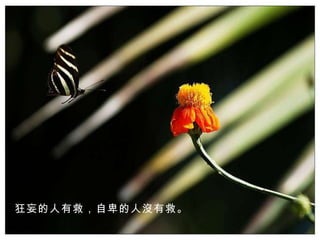 狂妄的人有救，自卑的人沒有救。 