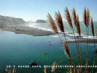 活著一天，就是有福氣，就該珍惜。當我哭泣我沒有鞋子穿的時候，我發現有人卻沒有腳。 