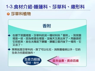 1-3.食材介紹-睡蓮科、莎草科、繖形科
 莎草科植物


              香附

 在鄉下菜園裡面，莎草科的另一種材料叫「香附」，到菜園
 裡面一拔，因為根還在裡面，沒幾天又長出來了。用鋤頭把
 它挖起來，放在太陽底下曝曬，曝曬三個月後下一場雨，它
 又活了。
 荸薺就是莎草科的，除了可以化石、消除腫瘤病以外，它的
 生命力也是超強的。

     生命力超強         延年益壽、長命百歲
      藥材、食材
 