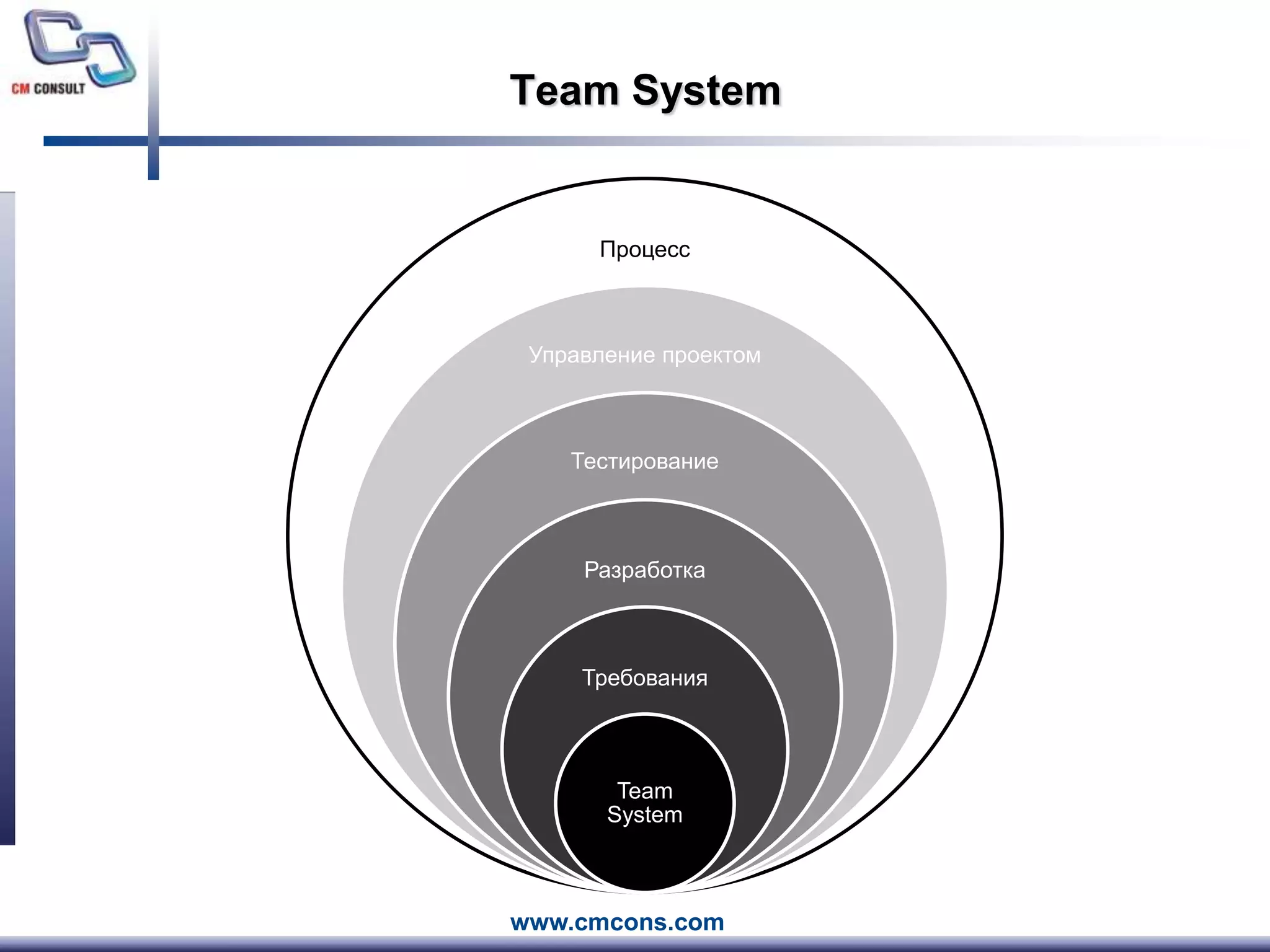 Team System