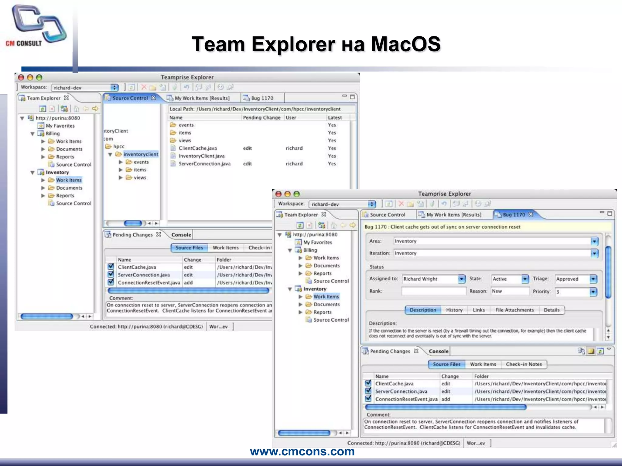 Team Explorer на MacOS