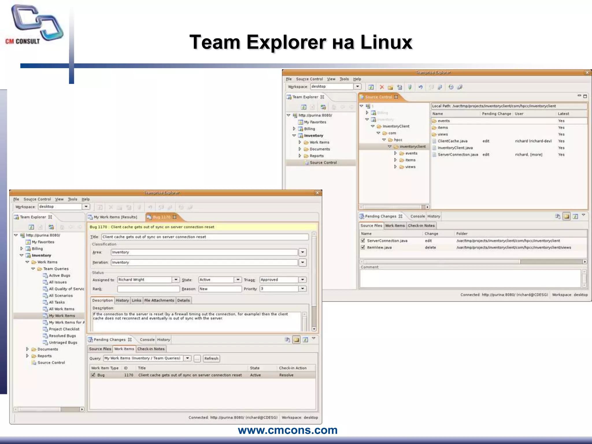 Team Explorer на Linux