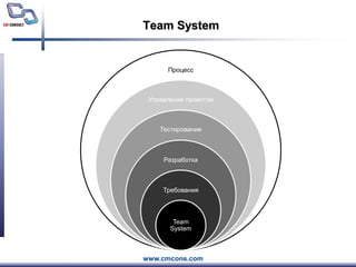 Team System