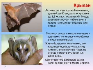 Обработка информации 