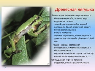 Подведение итогов работы в проекте