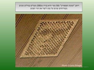 רוחב  " תמונת הפספורט "  כ 50  מטר והיא בנויה מכ 200  מעגלים בגדלים שונים  ובמרווחים שונים על מנת ליצור את תווי הפנים  . ה '/ תשרי / תש " ע 