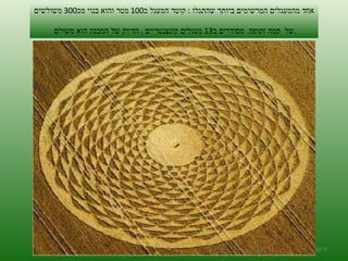 אחד מהמעגלים המרשימים ביותר שהתגלו  :  קוטר המעגל כ 100  מטר והוא בנוי מכ 300  משולשים  של  קמה זקופה  מסודרים ב 13  מעגלים קונצנטריים  .  הדיוק של המבנה הוא משולם  . ה '/ תשרי / תש " ע 