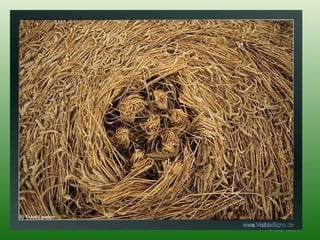 ה '/ תשרי / תש " ע 