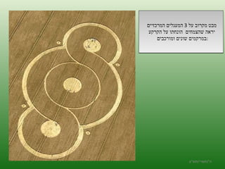 מבט מקרוב על  3  המעגלים המרכזיים  יראה שהצמחים  הונחתו על הקרקע  במרקמים שונים ומורכבים  : ה '/ תשרי / תש " ע 