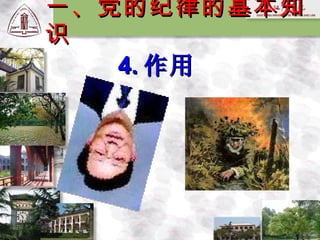 4. 作用   一、党的纪律的基本知识 