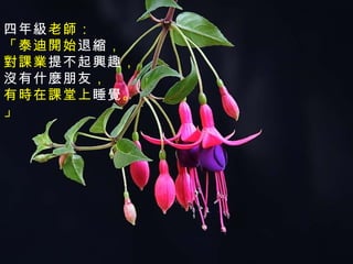 四年級 老師： 「泰迪開始 退縮 ， 對課業 提不起興趣 ， 沒有什麼朋友 ， 有時在課堂上 睡覺 。」 