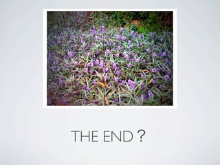 THE END
 