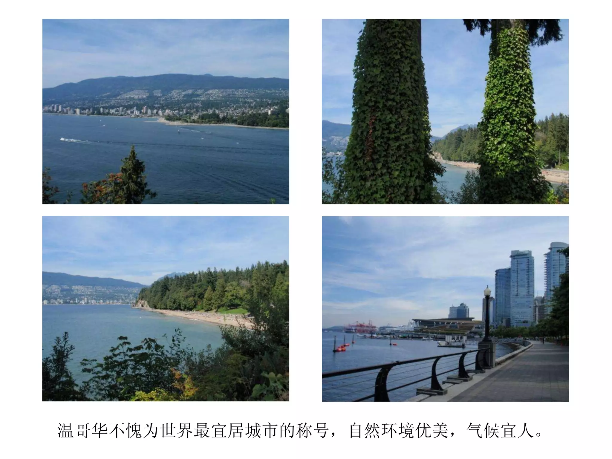 温哥华不愧为世界最宜居城市的称号，自然环境优美，气候宜人。 