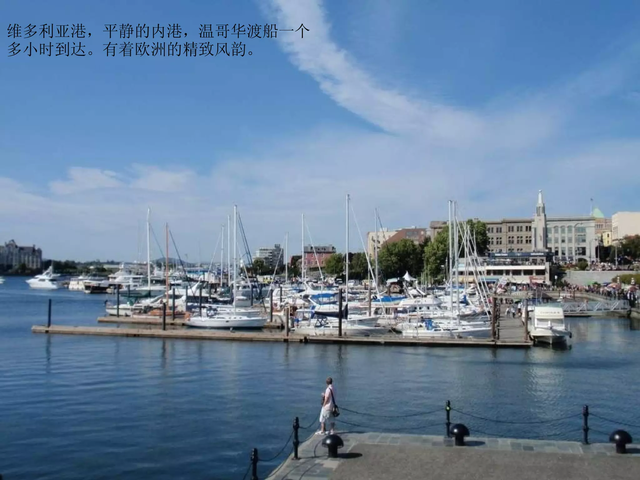 维多利亚港，平静的内港，温哥华渡船一个多小时到达。有着欧洲的精致风韵。 