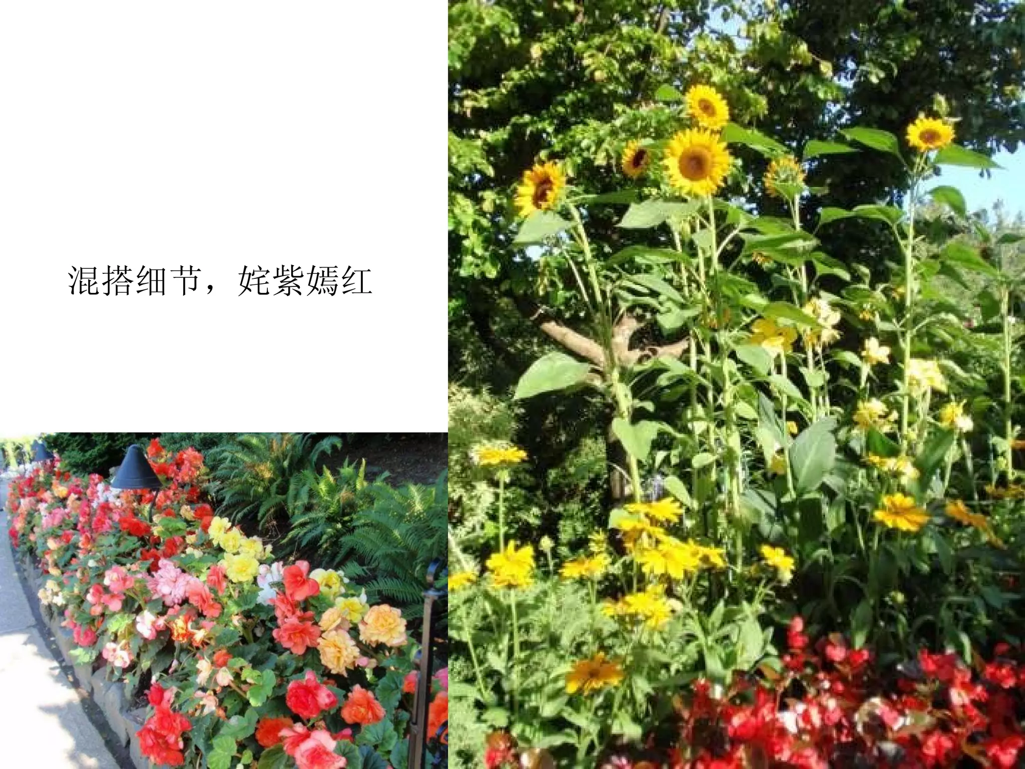 混搭细节，姹紫嫣红 