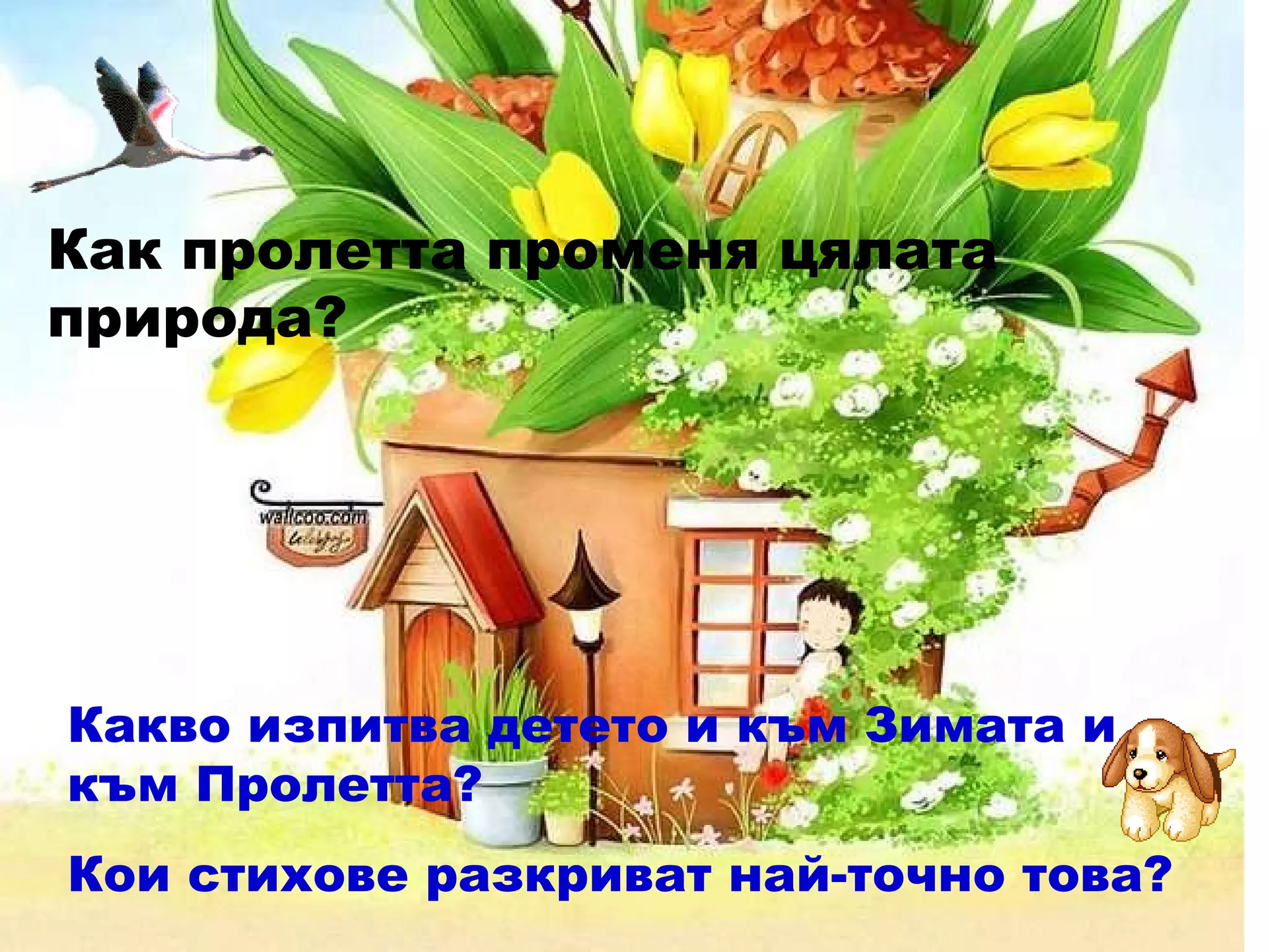 Как пролетта променя цялата природа? Какво изпитва детето и към Зимата и към Пролетта? Кои стихове разкриват най-точно това? 