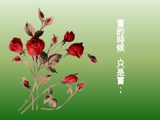 嘗的時候，只是嘗；