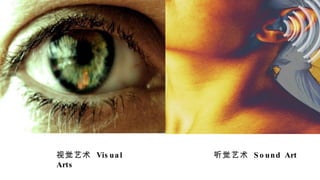Ӿ  Visual Arts   Sound Art 