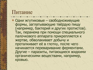 Питание Одни жгутиковые – свободноживущие формы, заглатывающие твёрдую пищу (например, бактерий и других протистов). Так, перанема при помощи специального палочкового аппарата прикрепляется к жертве, обволакивает добычу и проталкивает её в глотку, после чего начинается переваривание ферментами. Другие – паразиты, питающиеся жидкими органическими веществами, например, кровью. 
