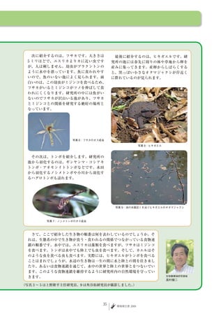 写真 6：フサカのオス成虫

                                        写真 8：ヒキガエル




                           写真 9：池の水面近くを泳ぐヒキガエルのオタマジャクシ




写真 7：ノシメトンボのオス成虫




                                                     生物圏環境研究領域
                                                     高村健二




                      35   環境報告書 2009
 