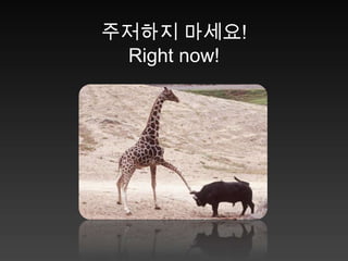 I`m Windows phone!&lt; 맛깔스런 도전! &gt;스마트 폰     = 디지털 허브 전략의 중심! 침   체      =   낮은 진입 장벽!       .Windows mobile 7(Zune HD,  XNA)비   전      =Global  MO(이통사)Global  OEM  PartnersApp. 시장   =